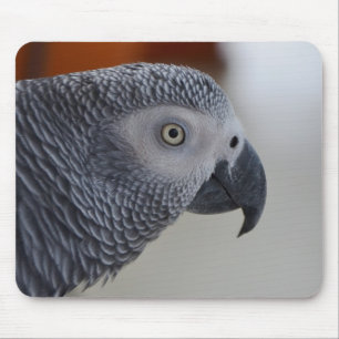 Majestic African Grey Parrot Mouse Pad