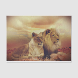Majestic African Lion And Lioness Tissue Paper