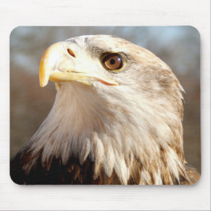 Majestic American Eagle Mouse Pad