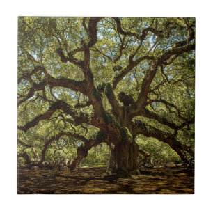 Majestic Angel Oak Ceramic Tile