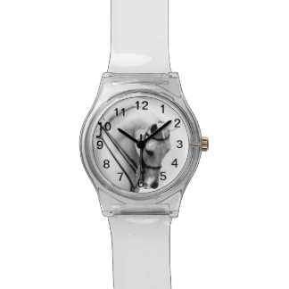 Majestic Arabian Horse Watch