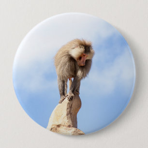 Majestic Baboon on Mountain Peak 10 Cm Round Badge