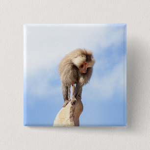 Majestic Baboon on Mountain Peak 15 Cm Square Badge