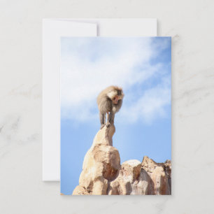 Majestic Baboon on Mountain Peak Card