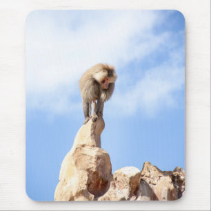 Majestic Baboon on Mountain Peak Mouse Pad