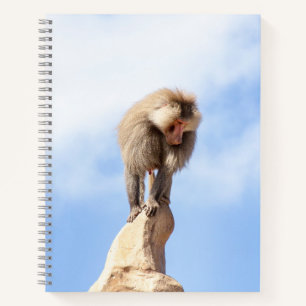 Majestic Baboon on Mountain Peak Notebook