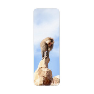 Majestic Baboon on Mountain Peak Return Address Label