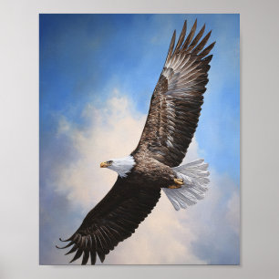 Majestic Bald Eagle in Flight Poster