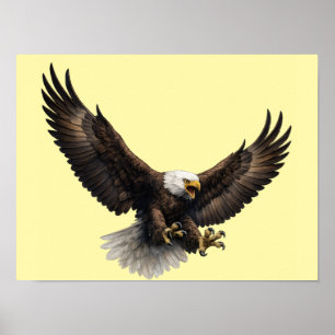 Majestic Bald Eagle In Flight Wildlife Wall Art