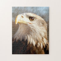 Majestic Bald Eagle