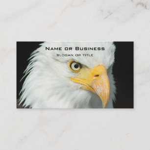 Majestic Bald Eagle Portrait Business Card