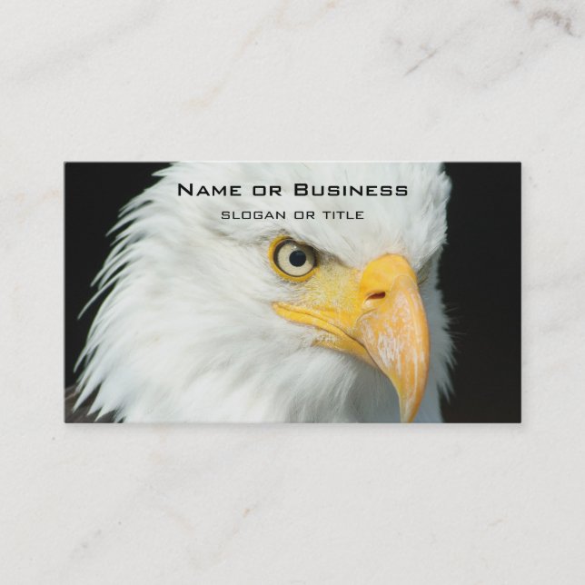 Majestic Bald Eagle Portrait Business Card (Front)