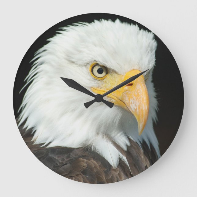 Majestic Bald Eagle Portrait Large Clock (Front)