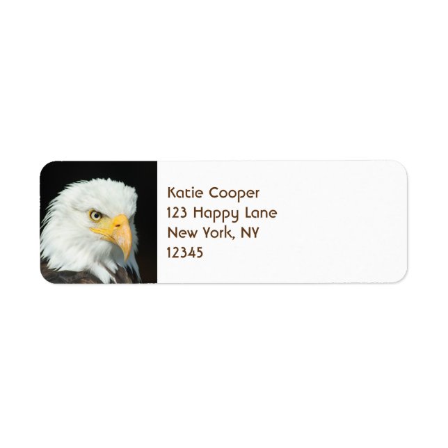 Majestic Bald Eagle Portrait Return Address Label (Front)