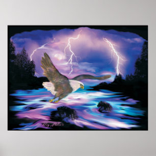 Majestic Bald Eagle Soaring Poster