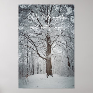 Majestic beech tree in the winter forest poster
