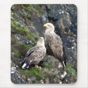 Majestic Bird of Prey White Tailed Eagle Pair Mouse Pad