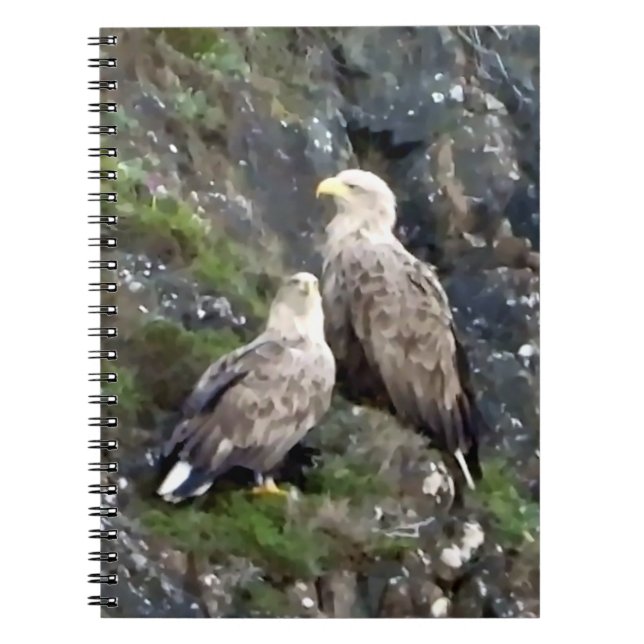  Majestic Bird of Prey White Tailed Eagle Pair  Notebook (Front)