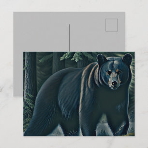 Majestic Black Bear Of The North Woods Postcard