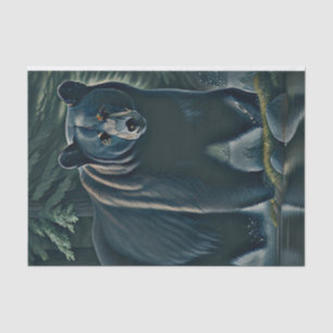 Majestic Black Bear Of The North Woods Tissue Paper