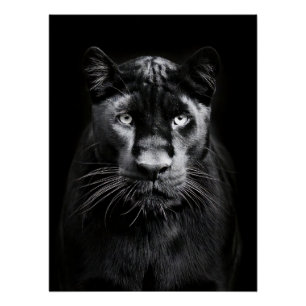 Majestic Black Panther Portrait Poster