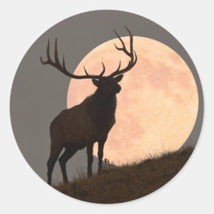 Majestic Bull Elk and Full Moon Rise Classic Round Sticker