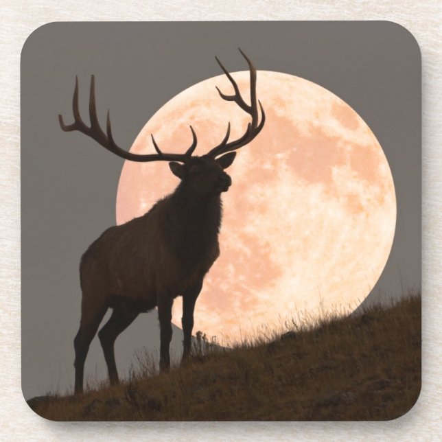 Majestic Bull Elk and Full Moon Rise Coaster (Front)