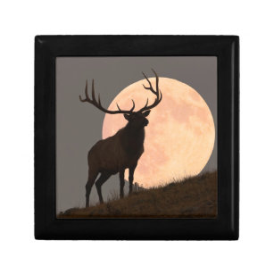 Majestic Bull Elk and Full Moon Rise Gift Box
