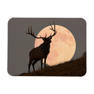 Majestic Bull Elk and Full Moon Rise Magnet