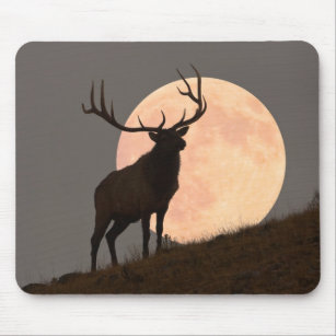 Majestic Bull Elk and Full Moon Rise Mouse Pad