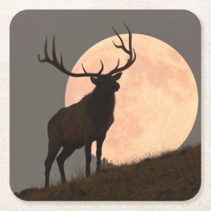 Majestic Bull Elk and Full Moon Rise Square Paper Coaster