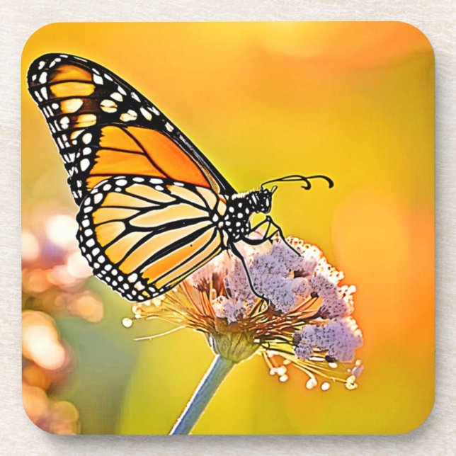 Majestic Butterfly Close Up Design Coaster (Front)