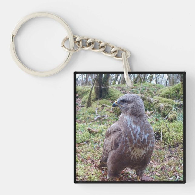 Majestic Buzzard Side Glance Woodland Raptor Bird  Key Ring (Front)
