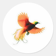 Majestic Cendrawasih Bird Sticker - Indonesian Par