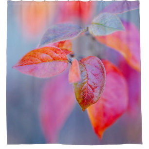 Majestic Cotoneaster Leaves Shower Curtain
