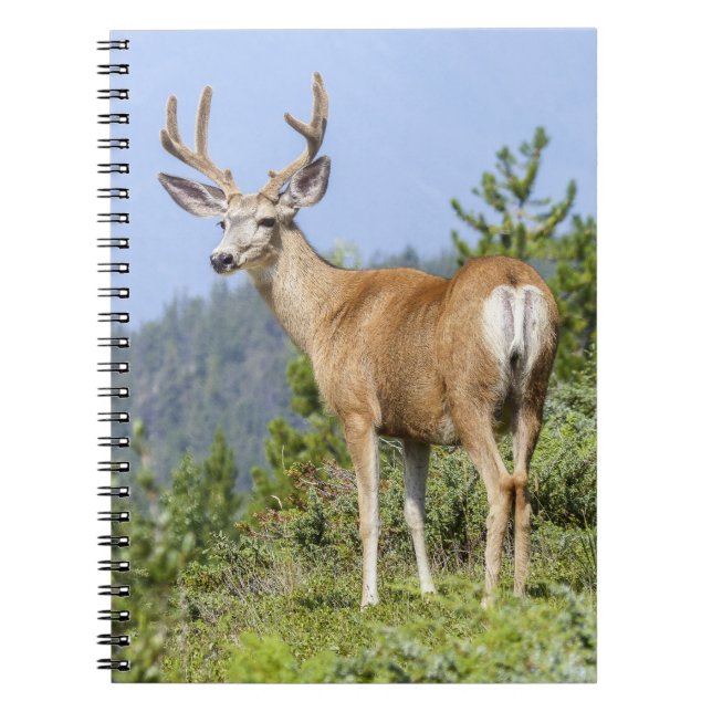 Majestic Deer Notebook (Front)