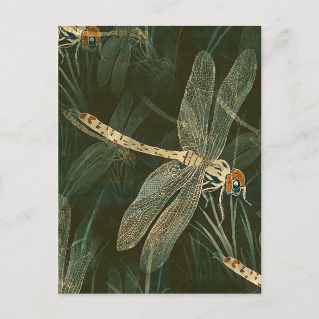 Majestic Dragonfly Pattern  Postcard (Front)