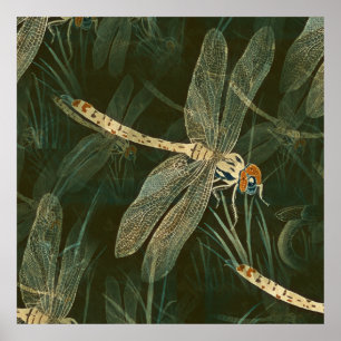 Majestic Dragonfly Pattern  Poster