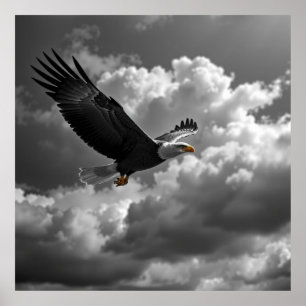 Majestic Eagle Charcoal Drawing – Power and Precis Poster