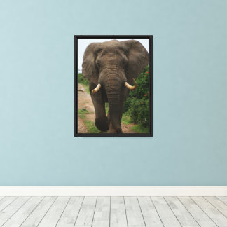 Majestic Elephant on Safari Path Powerful Wildlife Canvas Print