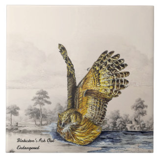 Majestic Endangered Blakiston's Fish Owl(Bird) Ceramic Tile