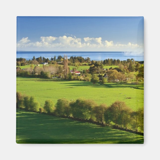 Majestic Fields Magnet (Front)