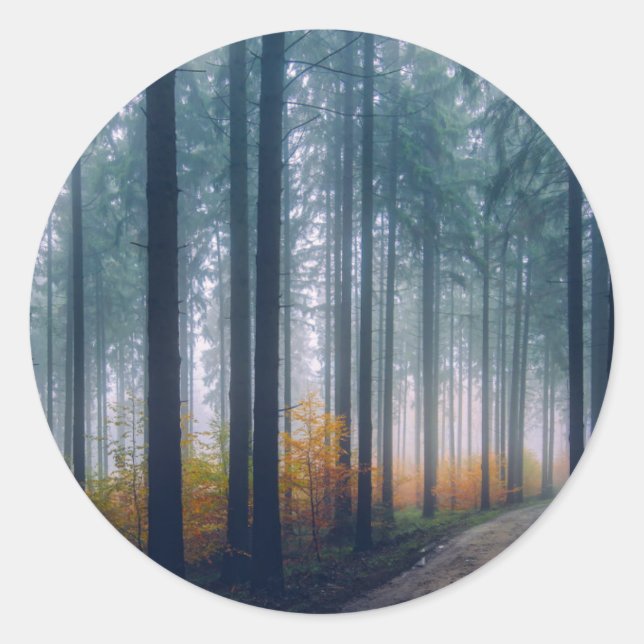Majestic Forest Path Classic Round Sticker (Front)