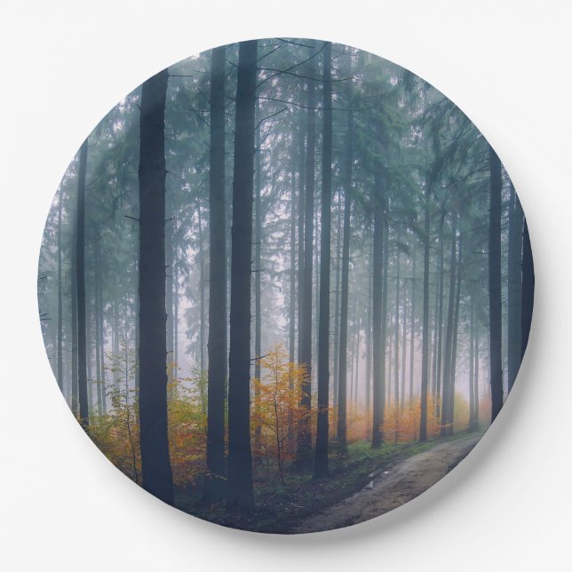Majestic Forest Path Paper Plate (Front)