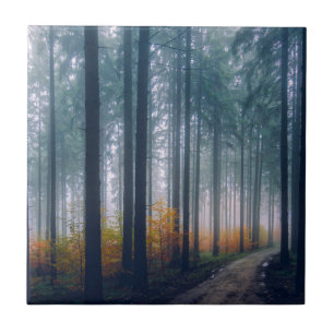 Majestic Forest Tree Lined Path Ceramic Tile