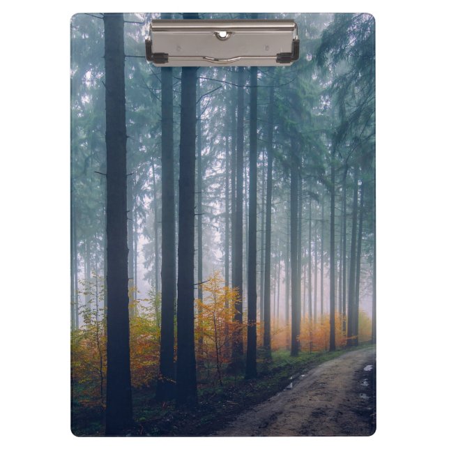 Majestic Forest Tree Lined Path Clipboard (Front)