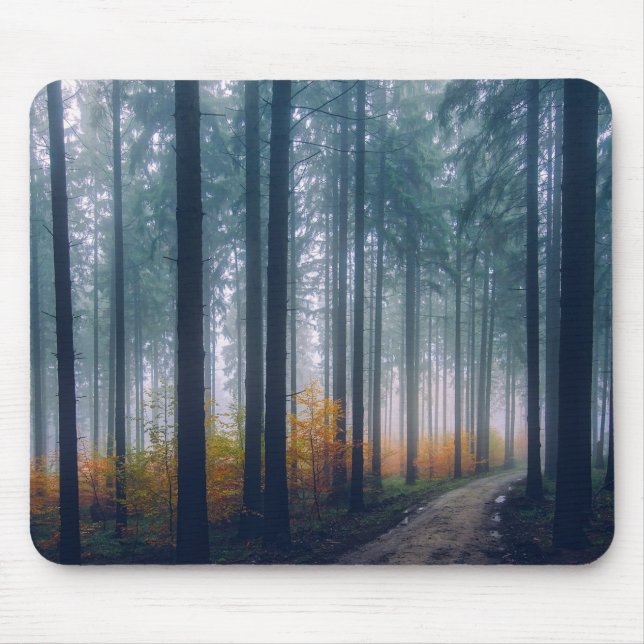 Majestic Forest Tree Lined Path Mouse Pad (Front)