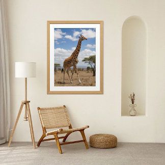 Majestic Giraffe Walking Across the African Savann Poster