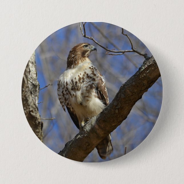 Majestic Hawk 7.5 Cm Round Badge (Front)
