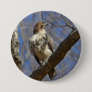 Majestic Hawk 7.5 Cm Round Badge